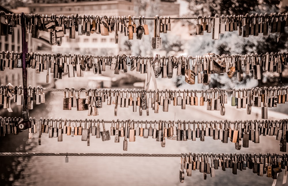 assorted padlocks hanged on wire