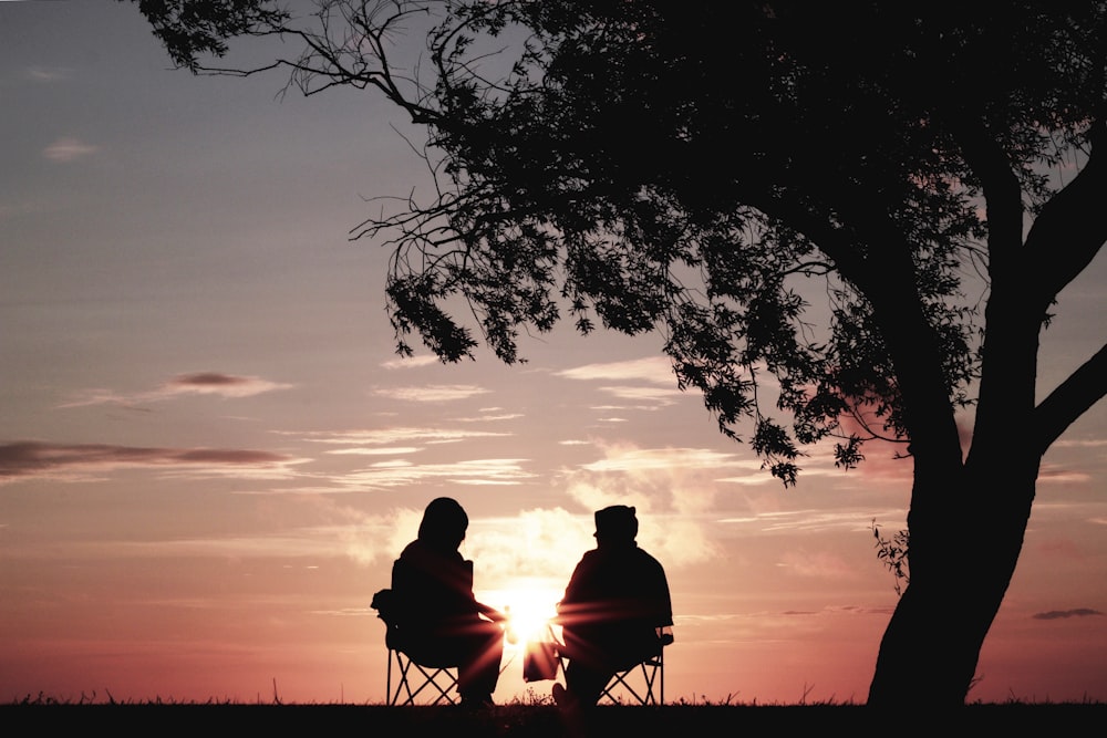 Silhouette von zwei Personen, die auf einem Stuhl in der Nähe eines Baumes sitzen