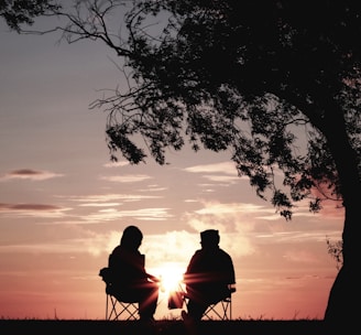 silhouette of two person sitting on chair near tree