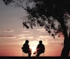 silhouette of two person sitting on chair near tree