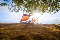 Two colorful beach chairs positioned on a sandy beach with a view of the ocean. The sun shines brightly through the branches of a tree with abundant green leaves, casting dappled light and shadows on the sand.