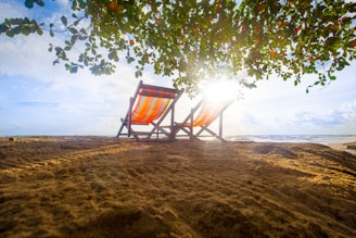Two colorful beach chairs positioned on a sandy beach with a view of the ocean. The sun shines brightly through the branches of a tree with abundant green leaves, casting dappled light and shadows on the sand.