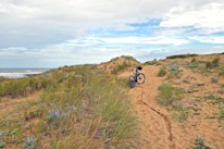 Close-up of a vintage bicycle resting against a sunlit sandy path near the Adriatic coast.