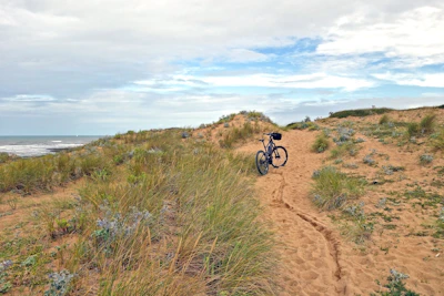 Close-up of a vintage bicycle resting against a sunlit sandy path near the Adriatic coast.