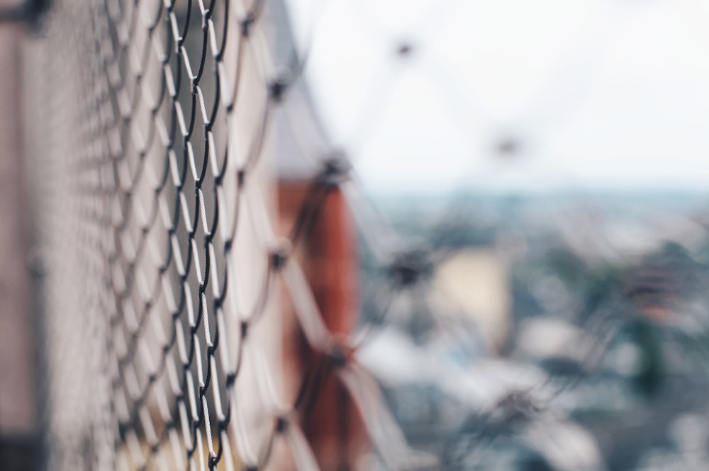 selective focus photography of gray chain-link fence