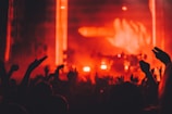 silhouette photo of people watching concert