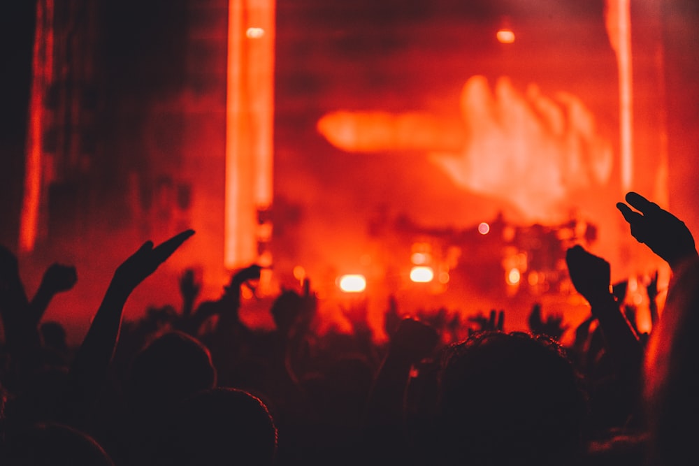 silhouette photo of people watching concert