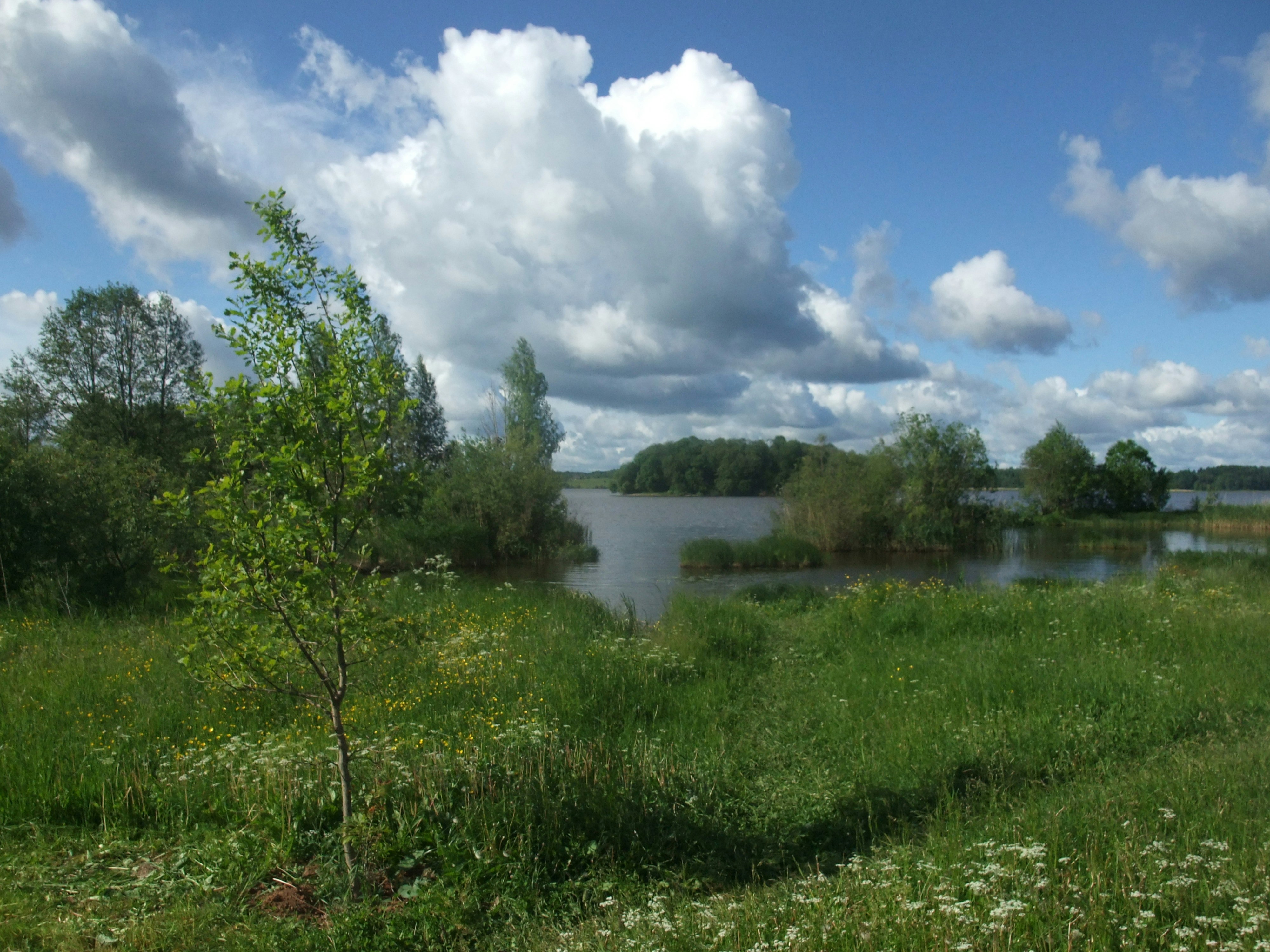 Free Unsplash photo from Шутов Михаил