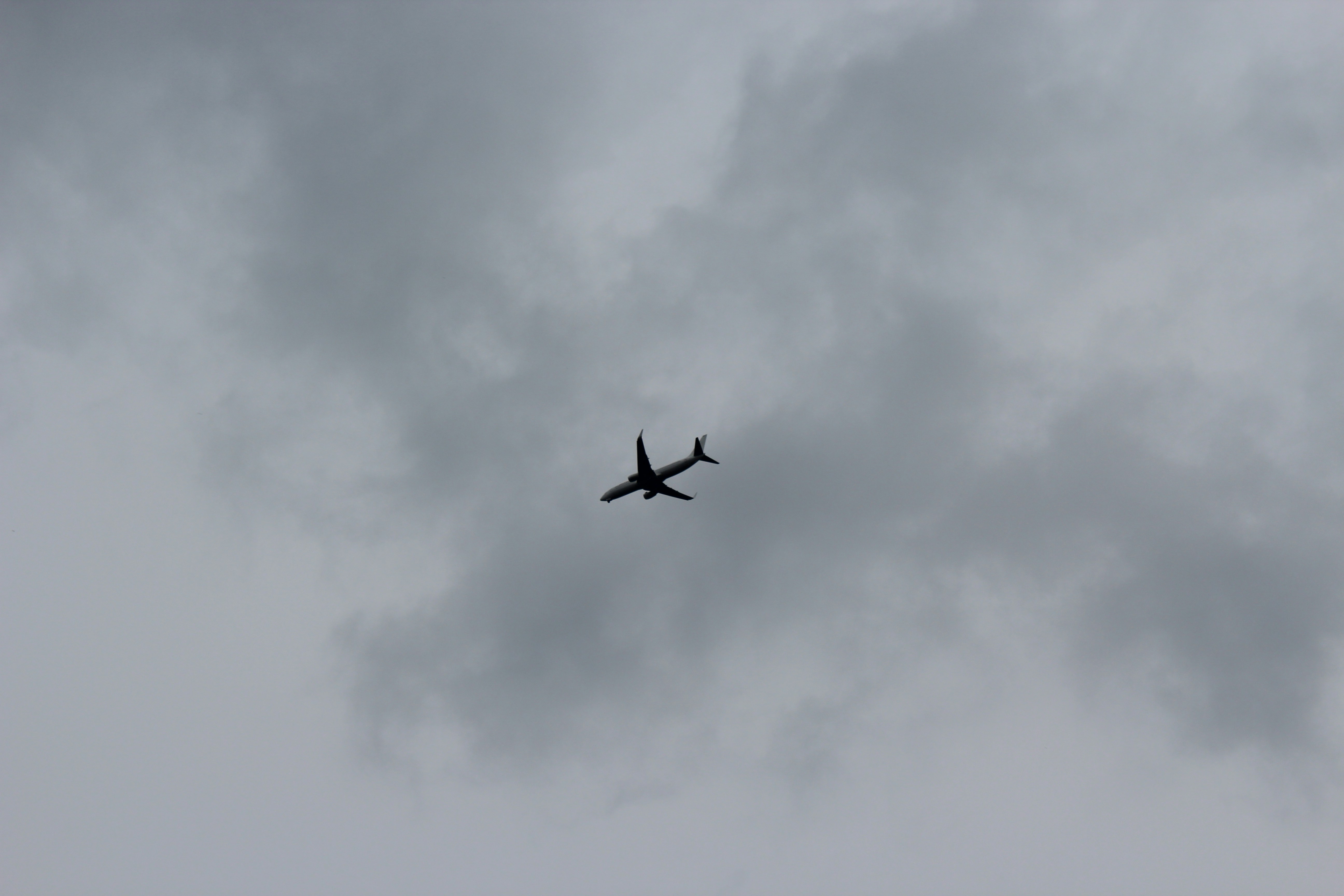 Free Unsplash photo from Chiara Maria