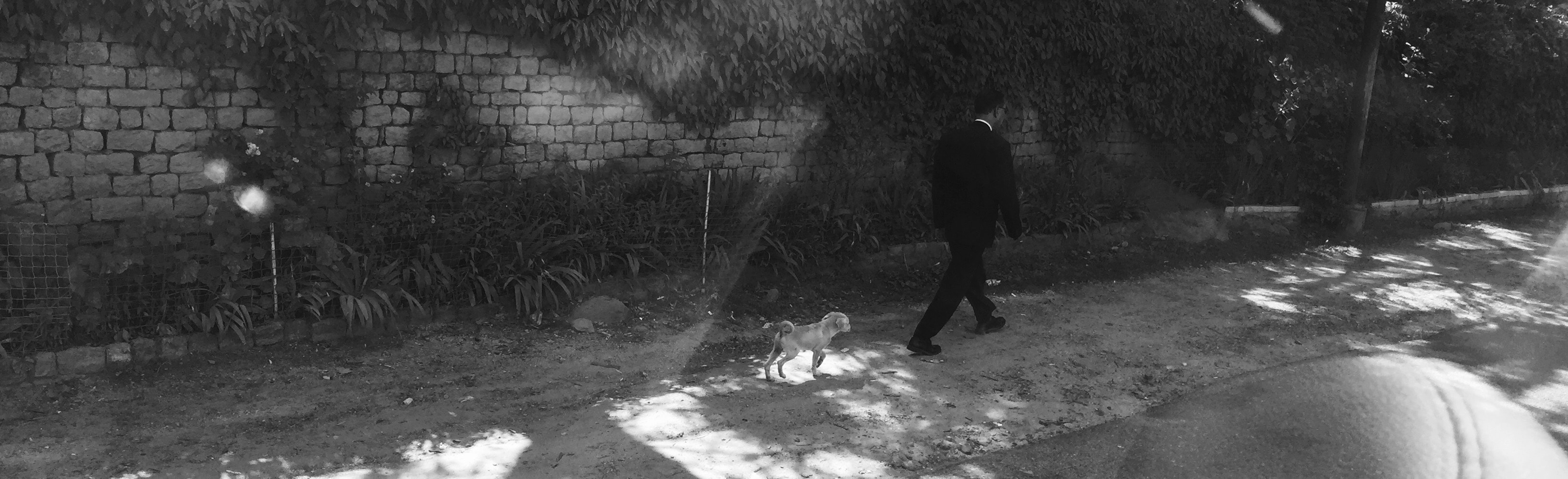 Free Unsplash photo from Tanay Saraf