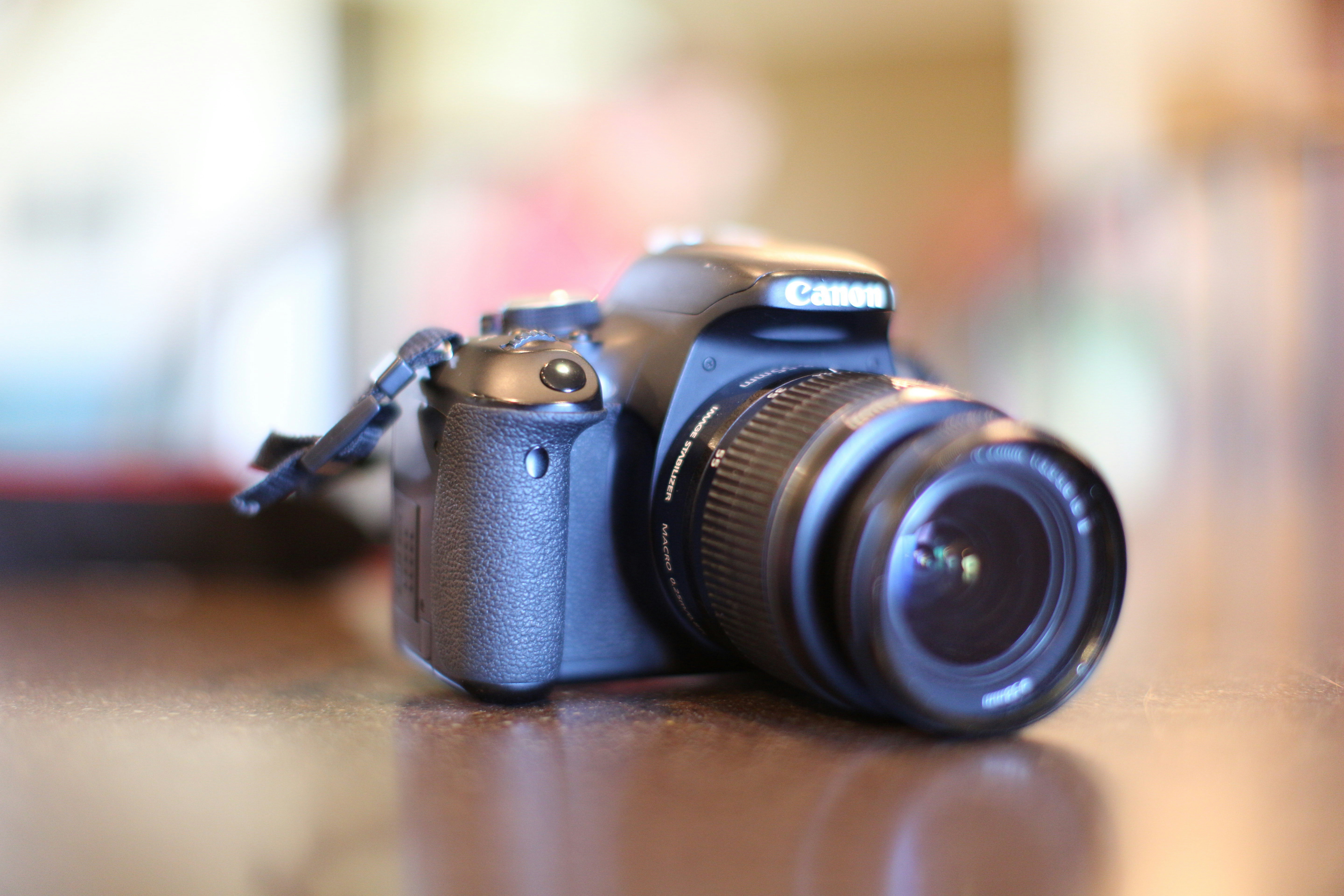 Free Unsplash photo from Larissa Bahler