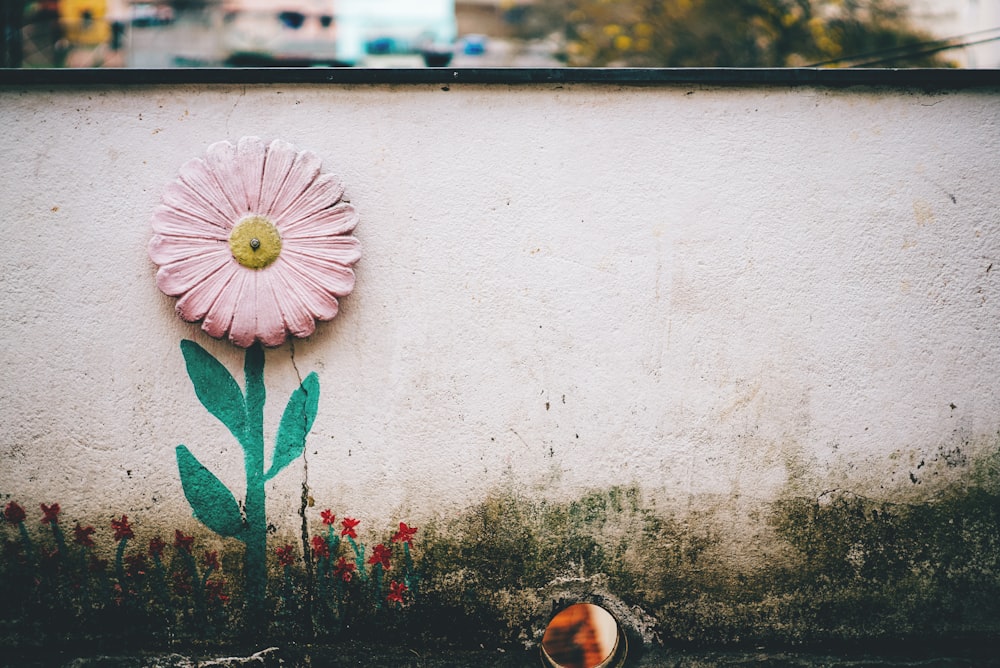 rule of thirds photography of pink flower art