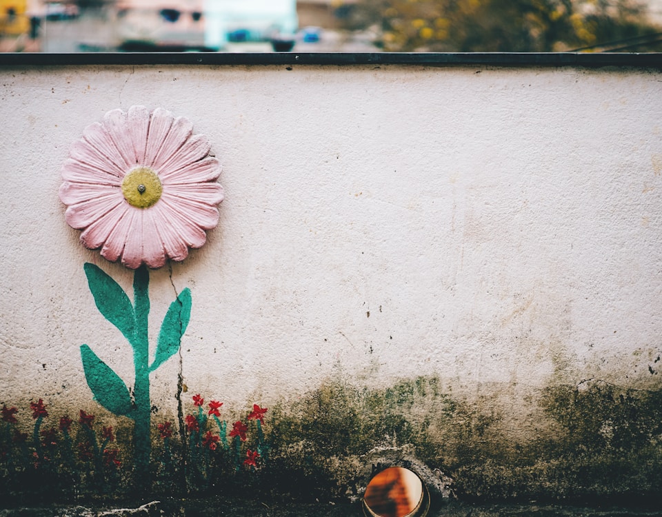 rule of thirds photography of pink flower art