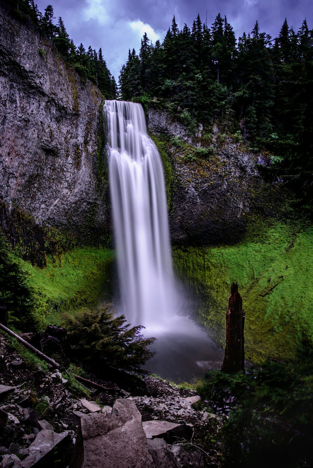 waterfalls in forest