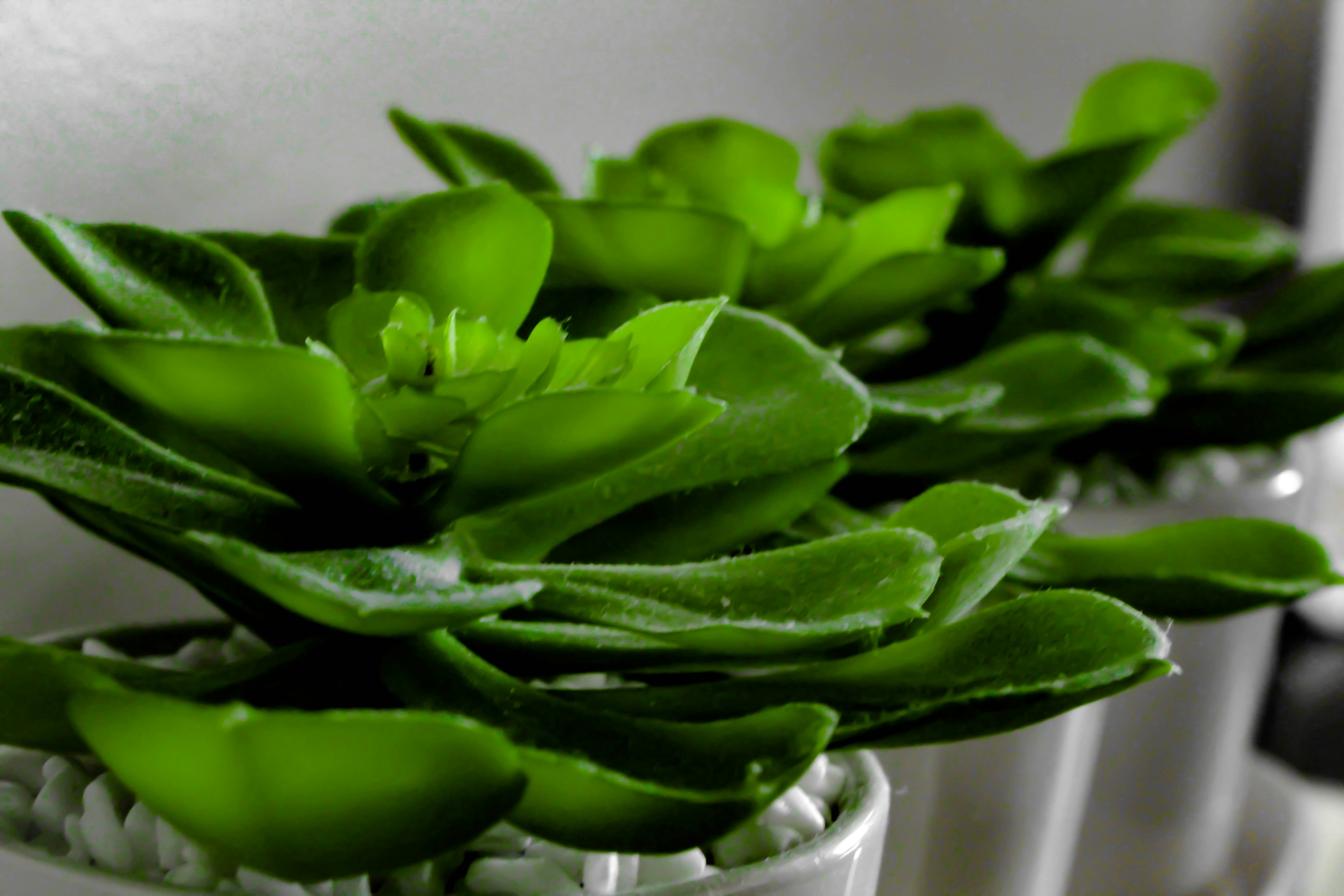 Free Unsplash photo from Will Laver