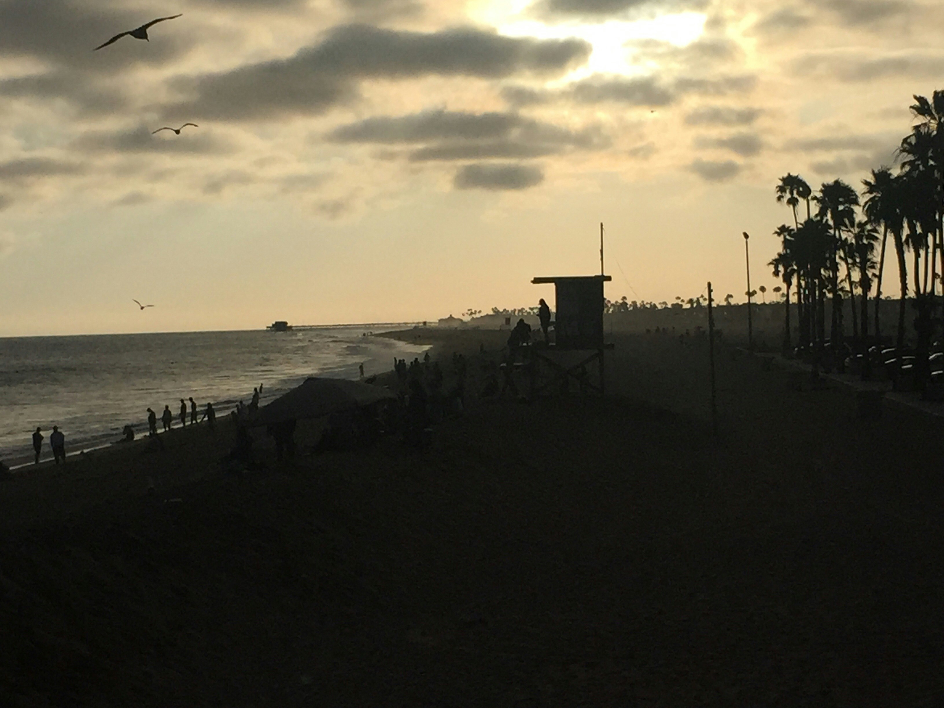 Free Unsplash photo from Sarah Morin