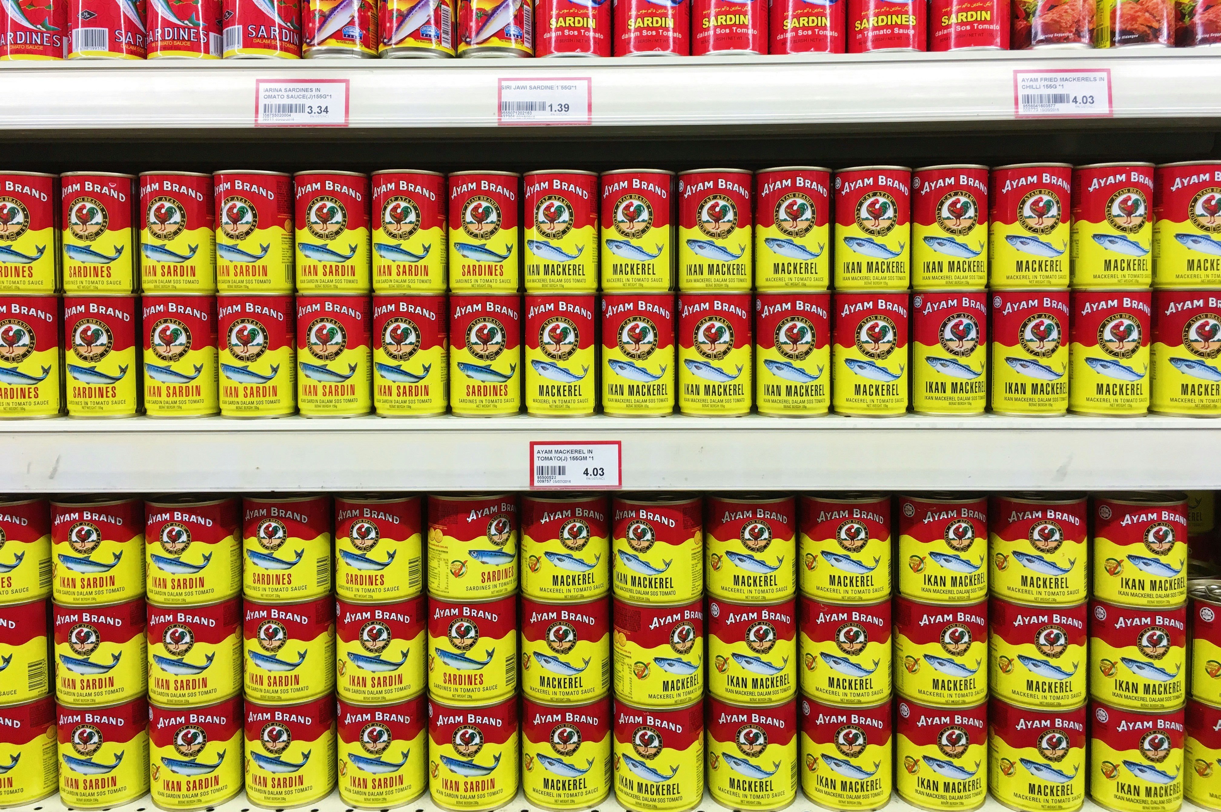 Free Unsplash photo from Chee Siong Teh