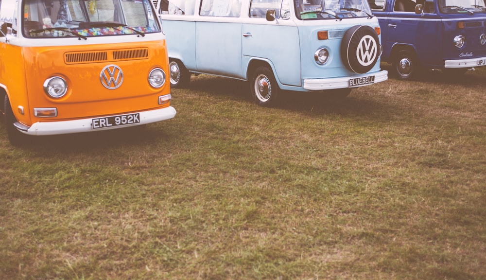 orange Volkswagen vehicles on green grass field