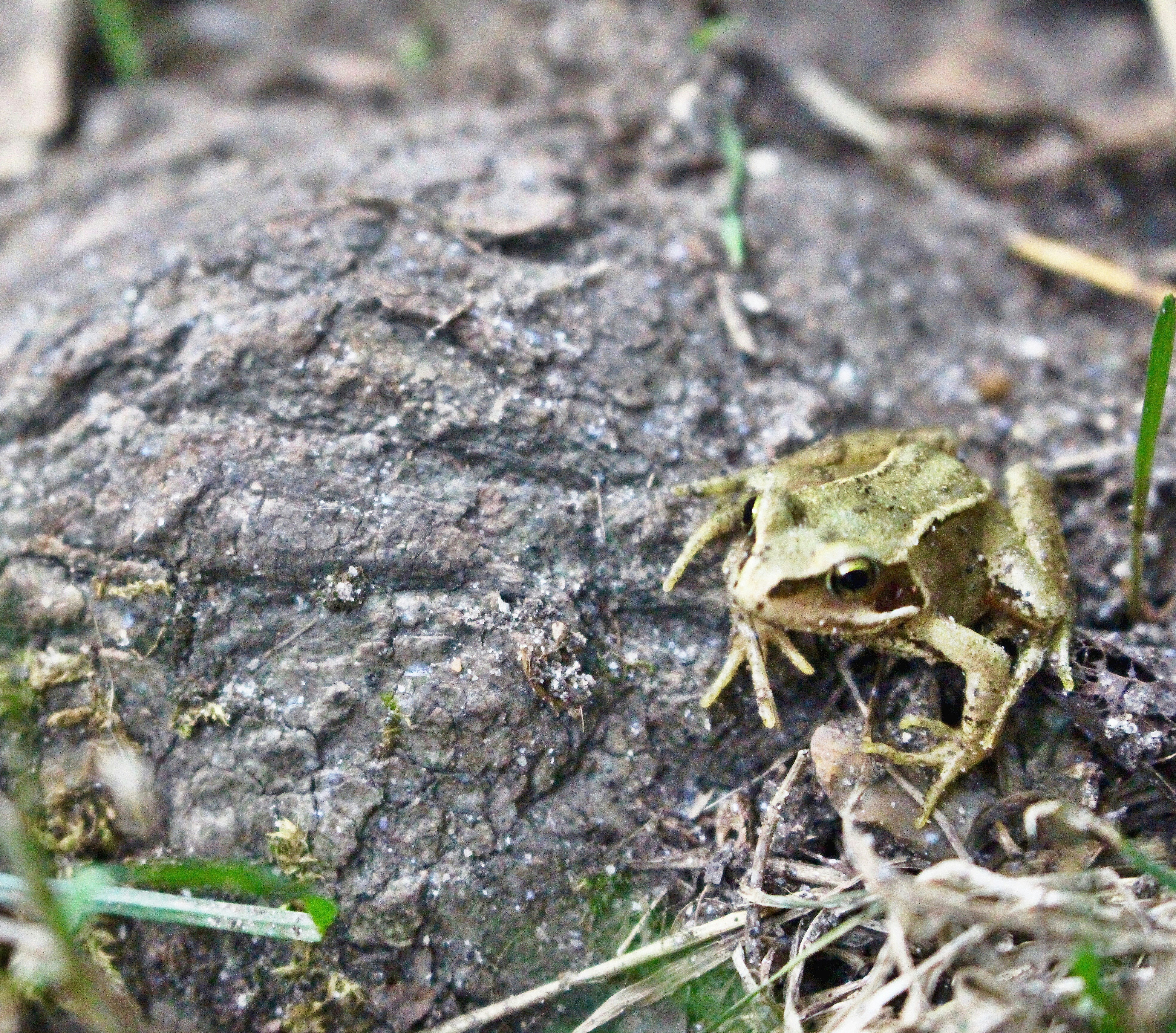 Free Unsplash photo from Emily Morter