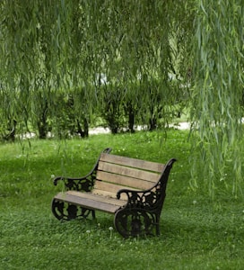 Elm Shade Bench