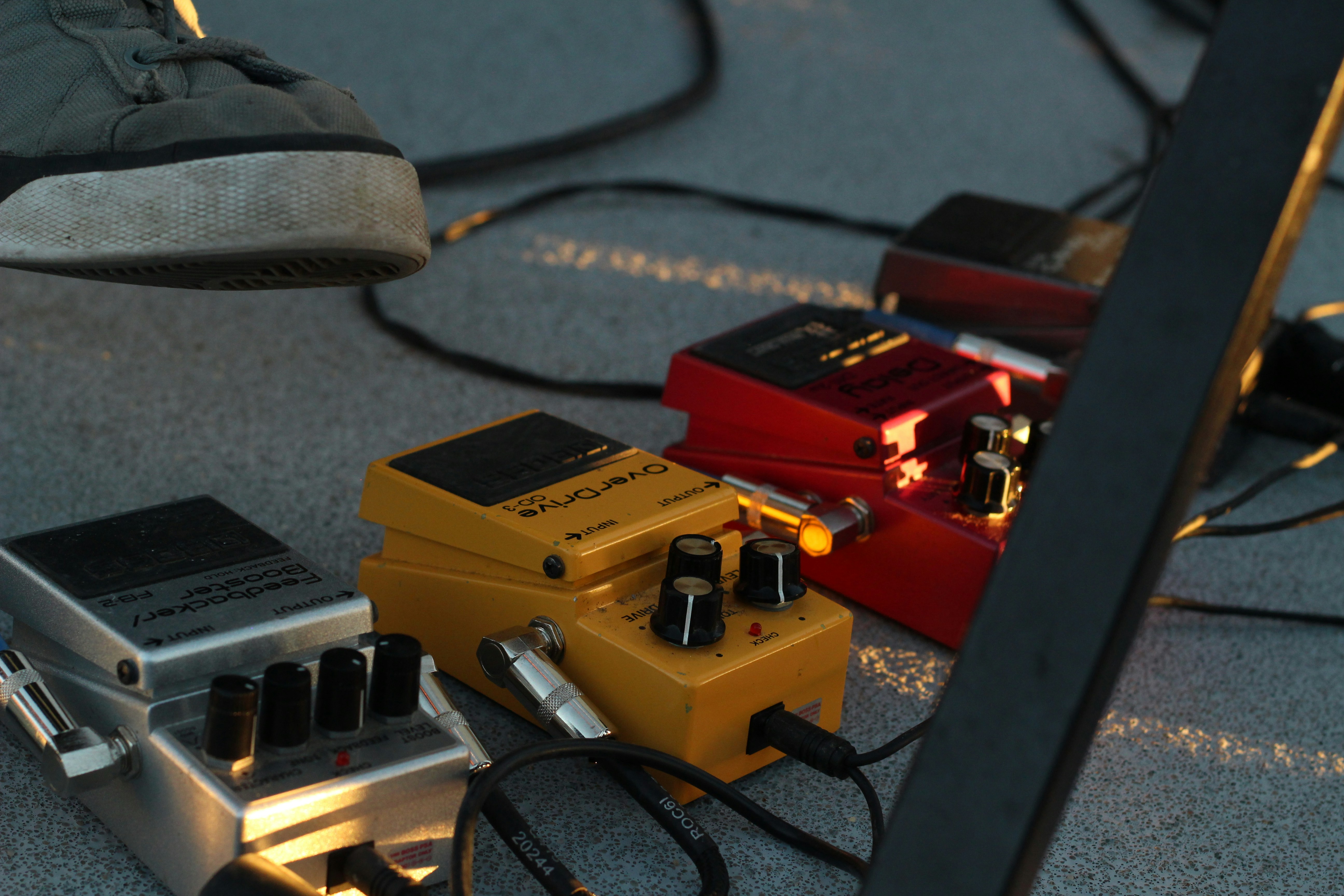 Free Unsplash photo from Katherine Murphy