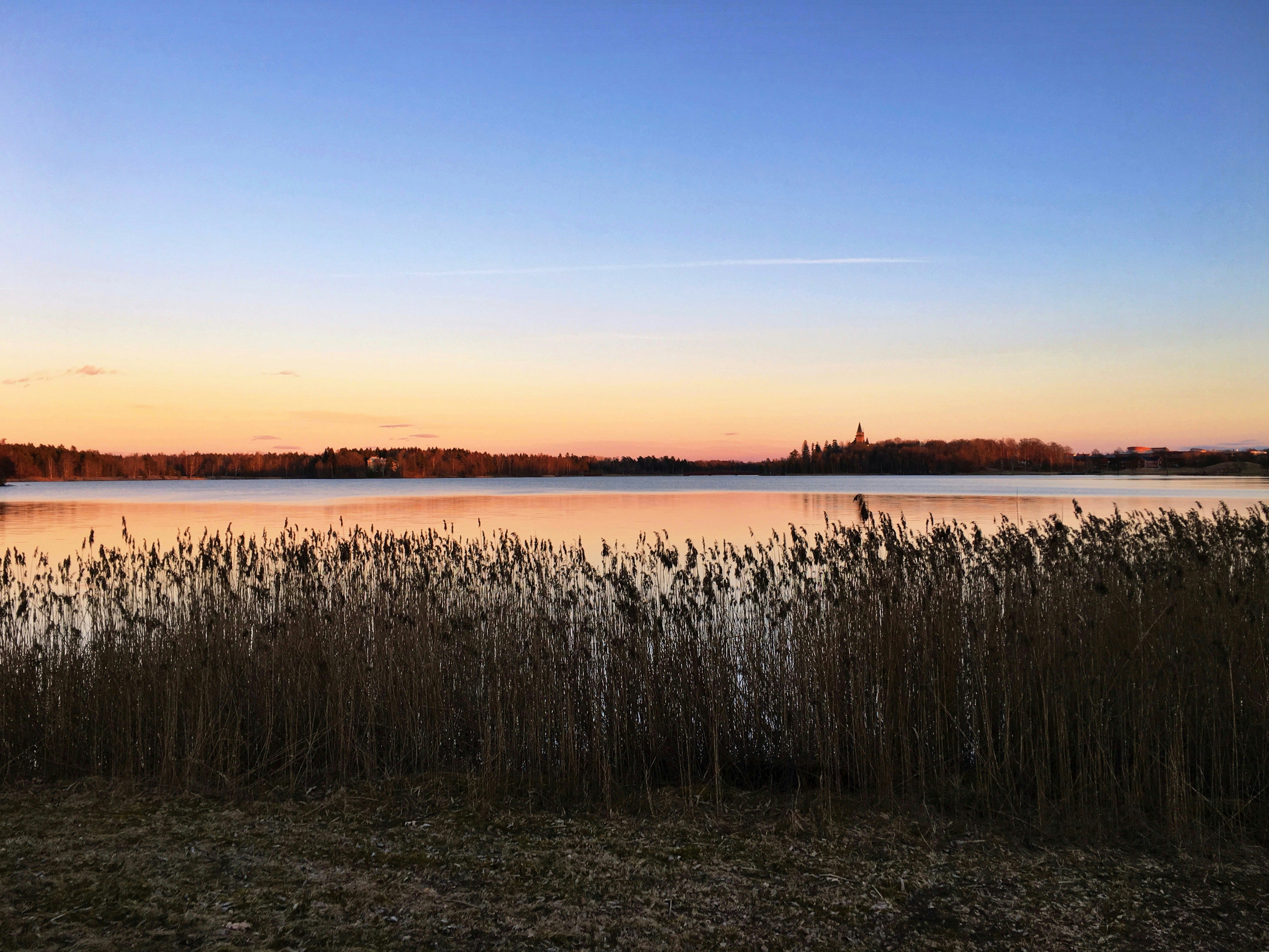 Free Unsplash photo from George Green