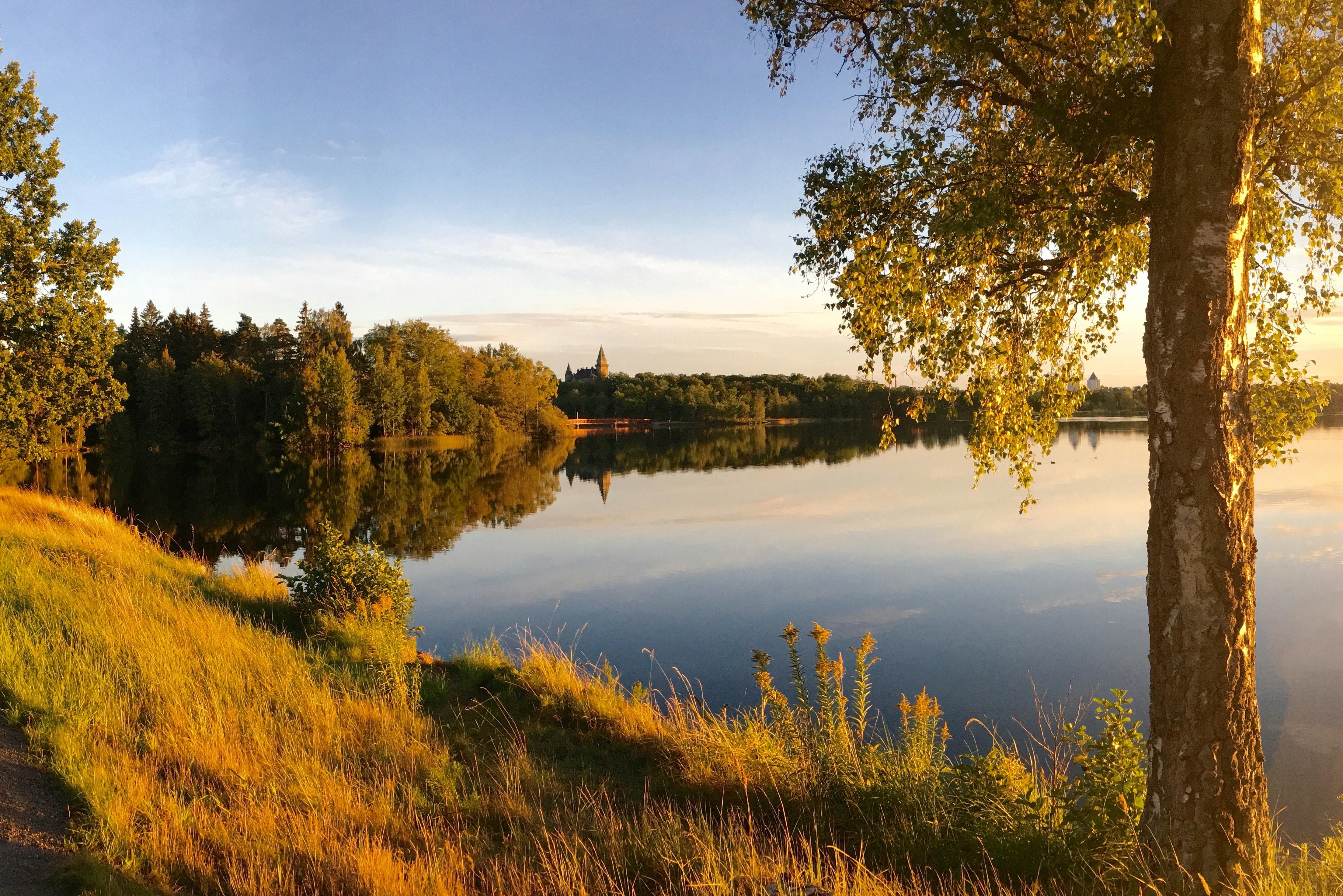 Free Unsplash photo from George Green