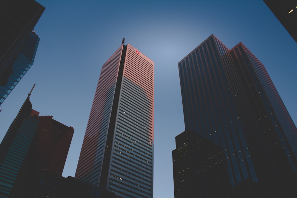 worm's eye view of high-rise city buildings during daytime