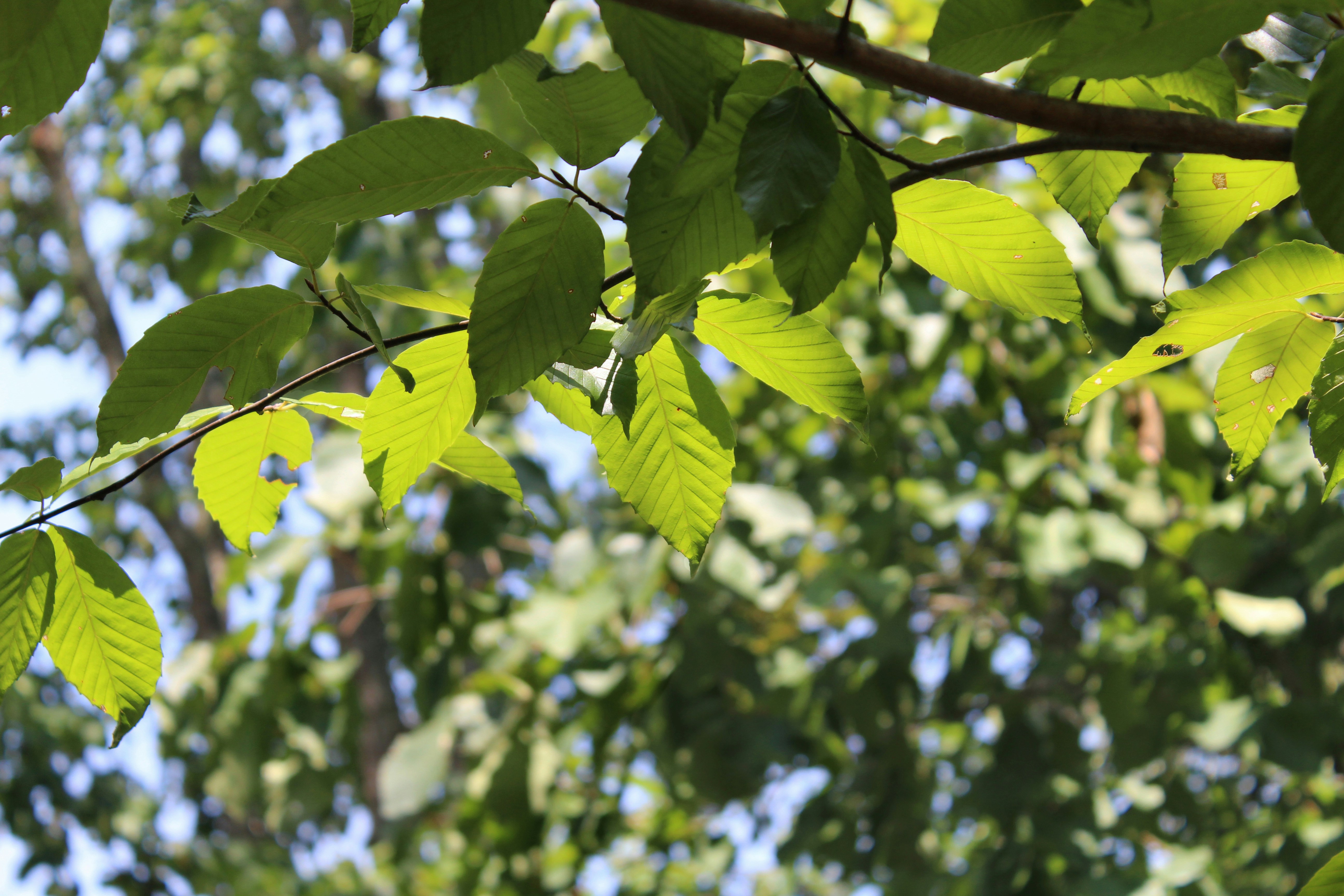 Free Unsplash photo from Gretchen