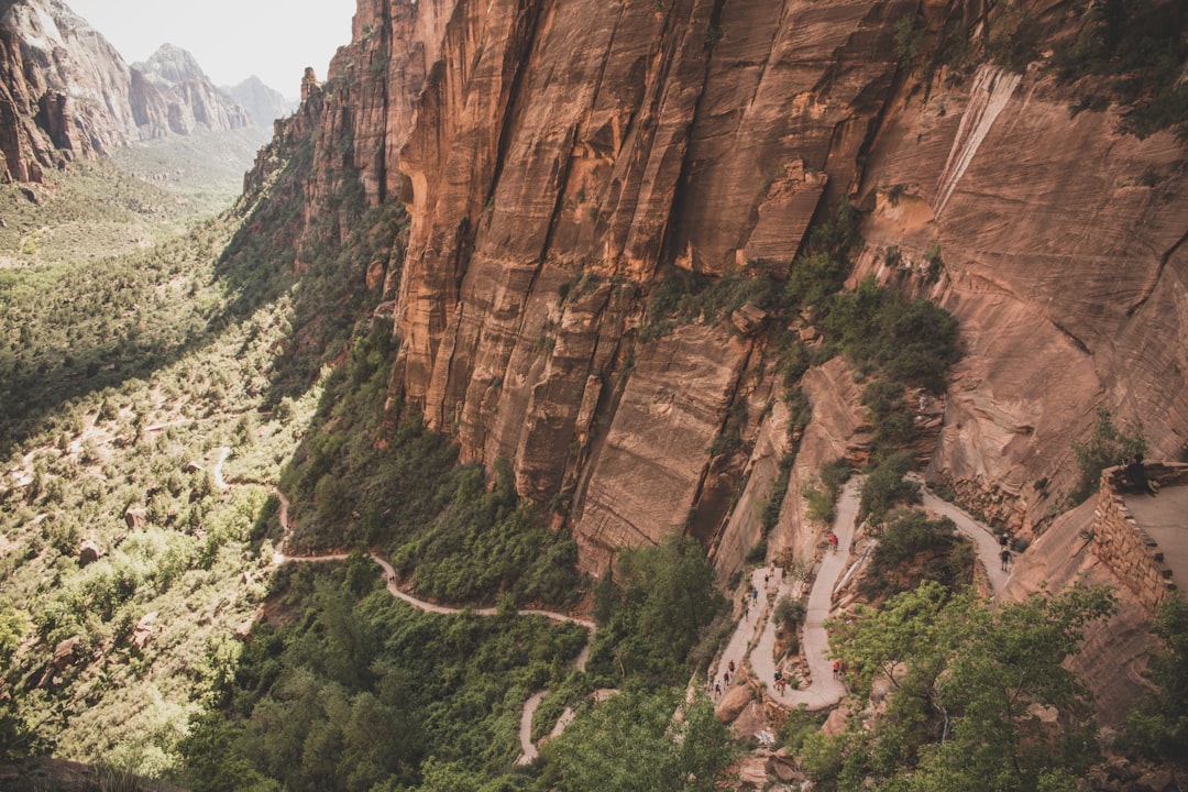 Canyon photo spot Angels Landing Zion National Park