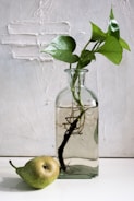 A glass jar holds a plant cutting with long roots submerged in water. The background features a textured white wall. In the foreground, a pear rests beside the jar on a white surface.