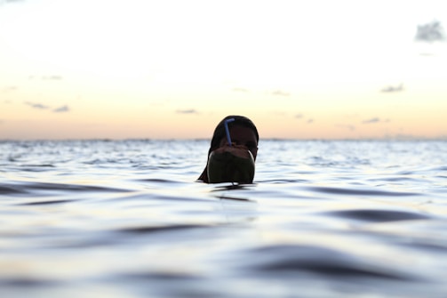 Smiling person enjoying silbrcoo coconut water while sitting by the beach at sunset