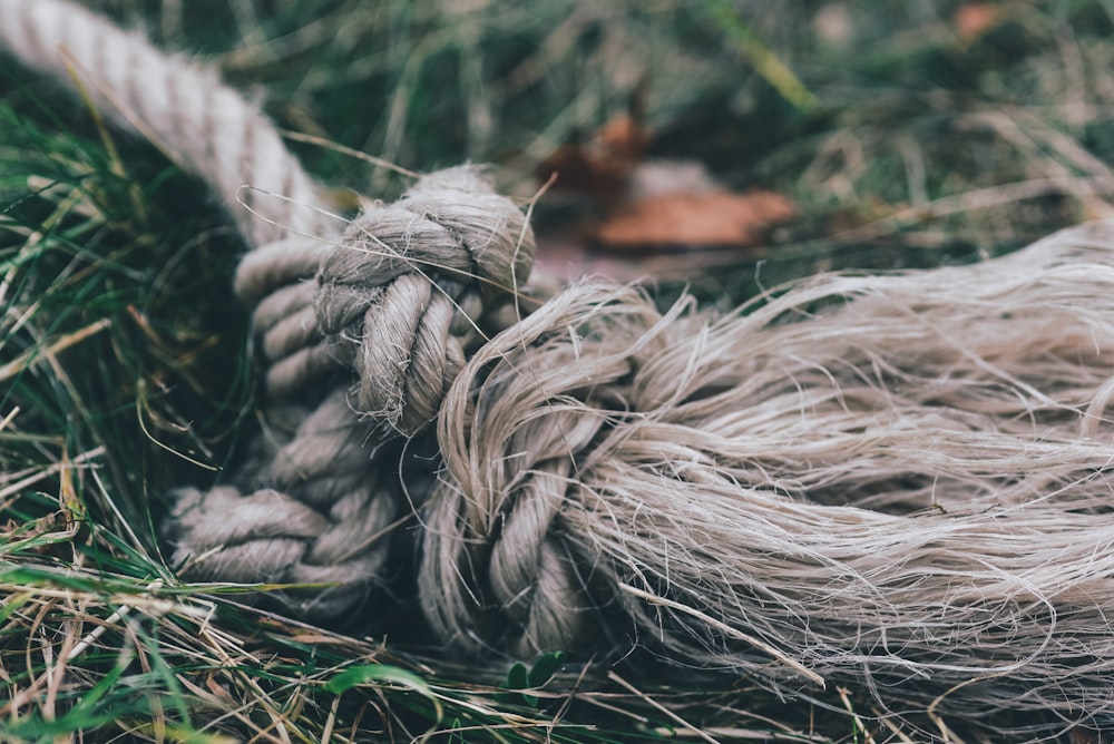 brown rope on grass