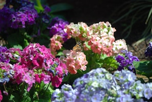 A colorful decorative stake shaped like a butterfly nestled among blooming flowers