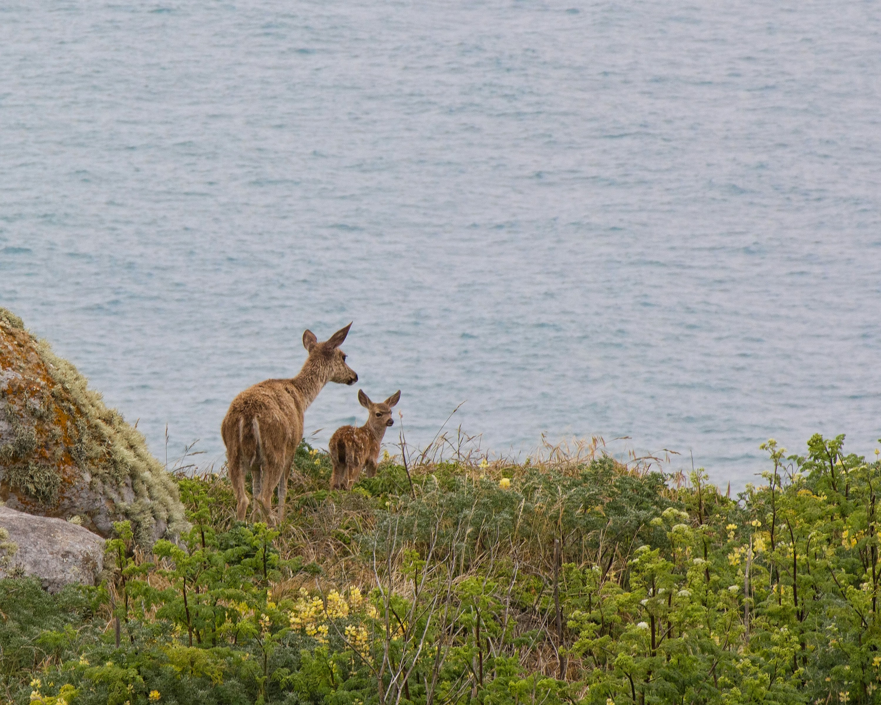 Free Unsplash photo from Bill Williams