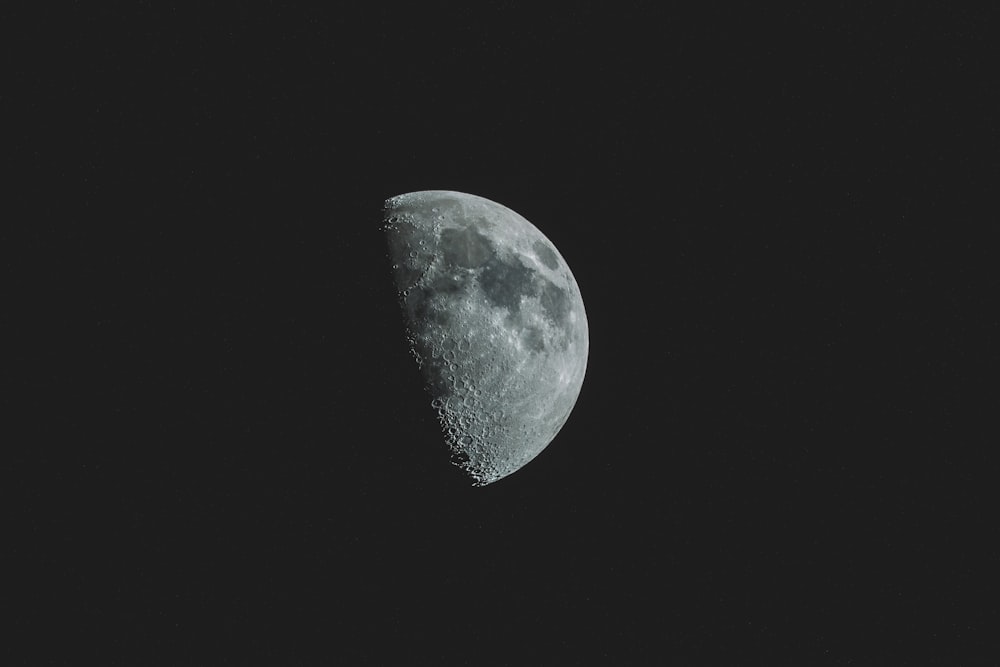 photo of moon