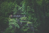 A scenic area features lush green forest surrounding a wooden viewing platform, with a group of people standing on it and taking in the view. The dense foliage and rocky terrain create a sense of being deep in nature.