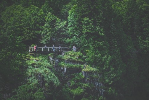 A scenic area features lush green forest surrounding a wooden viewing platform, with a group of people standing on it and taking in the view. The dense foliage and rocky terrain create a sense of being deep in nature.