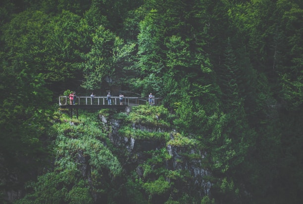 A group of travelers enjoying a scenic view in Costa Rica's lush landscape.
