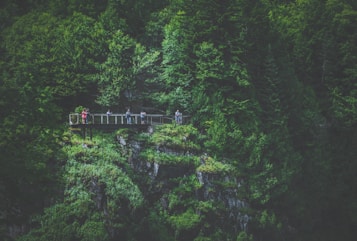 A scenic area features lush green forest surrounding a wooden viewing platform, with a group of people standing on it and taking in the view. The dense foliage and rocky terrain create a sense of being deep in nature.