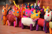 Cute cat modeling a vibrant handmade dress with playful patterns.