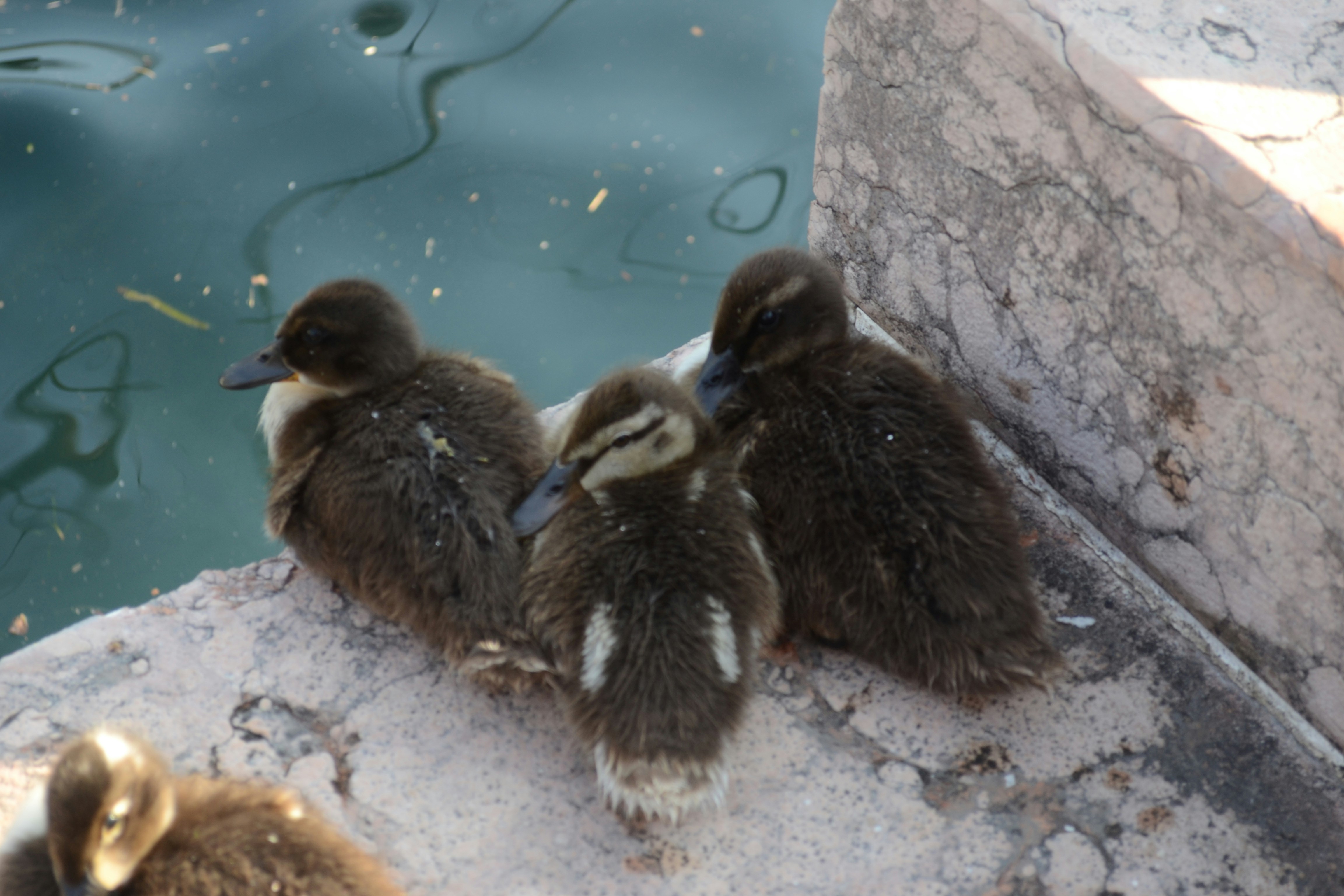 Free Unsplash photo from Joachim Bertelsen