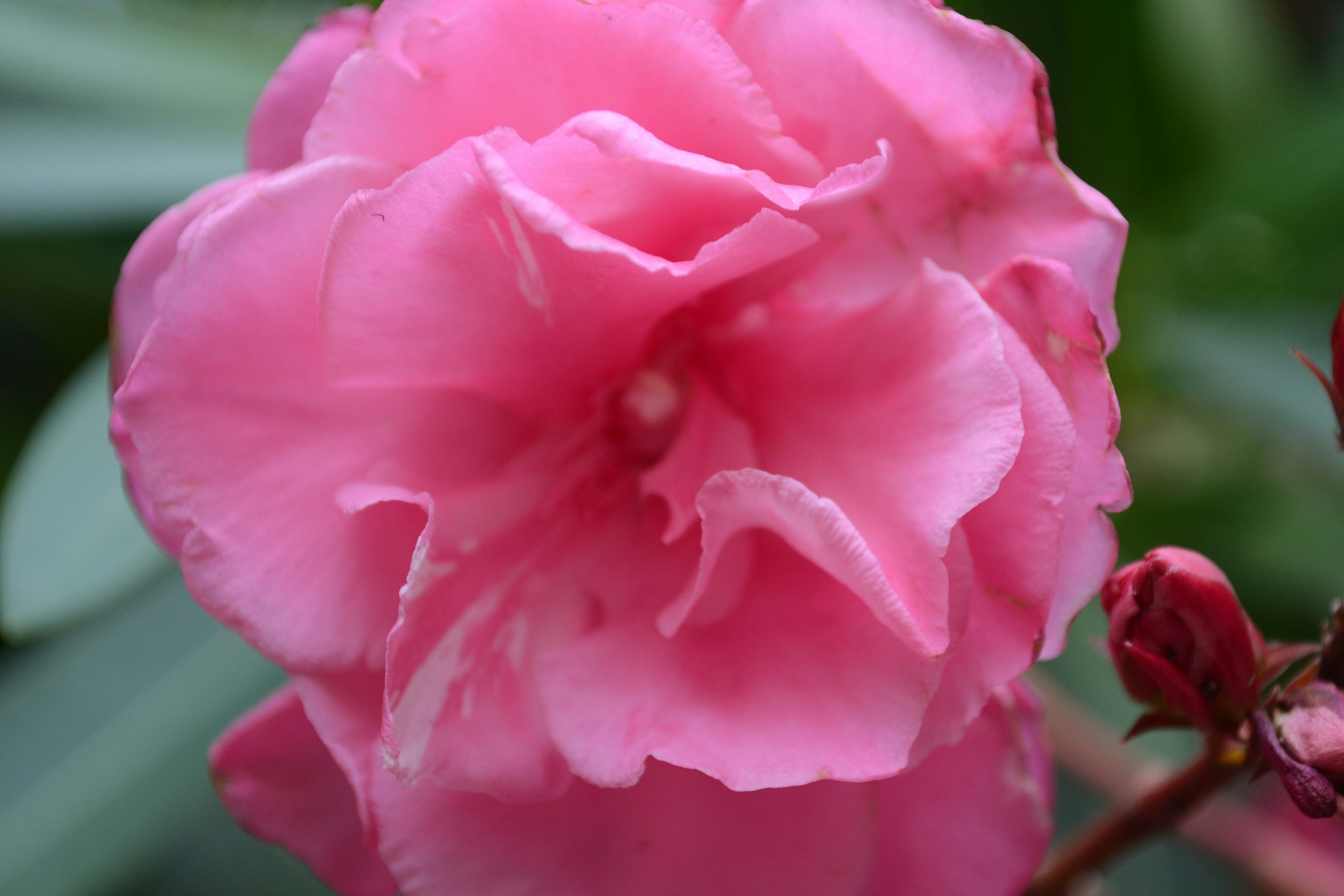 Free Unsplash photo from Joachim Bertelsen