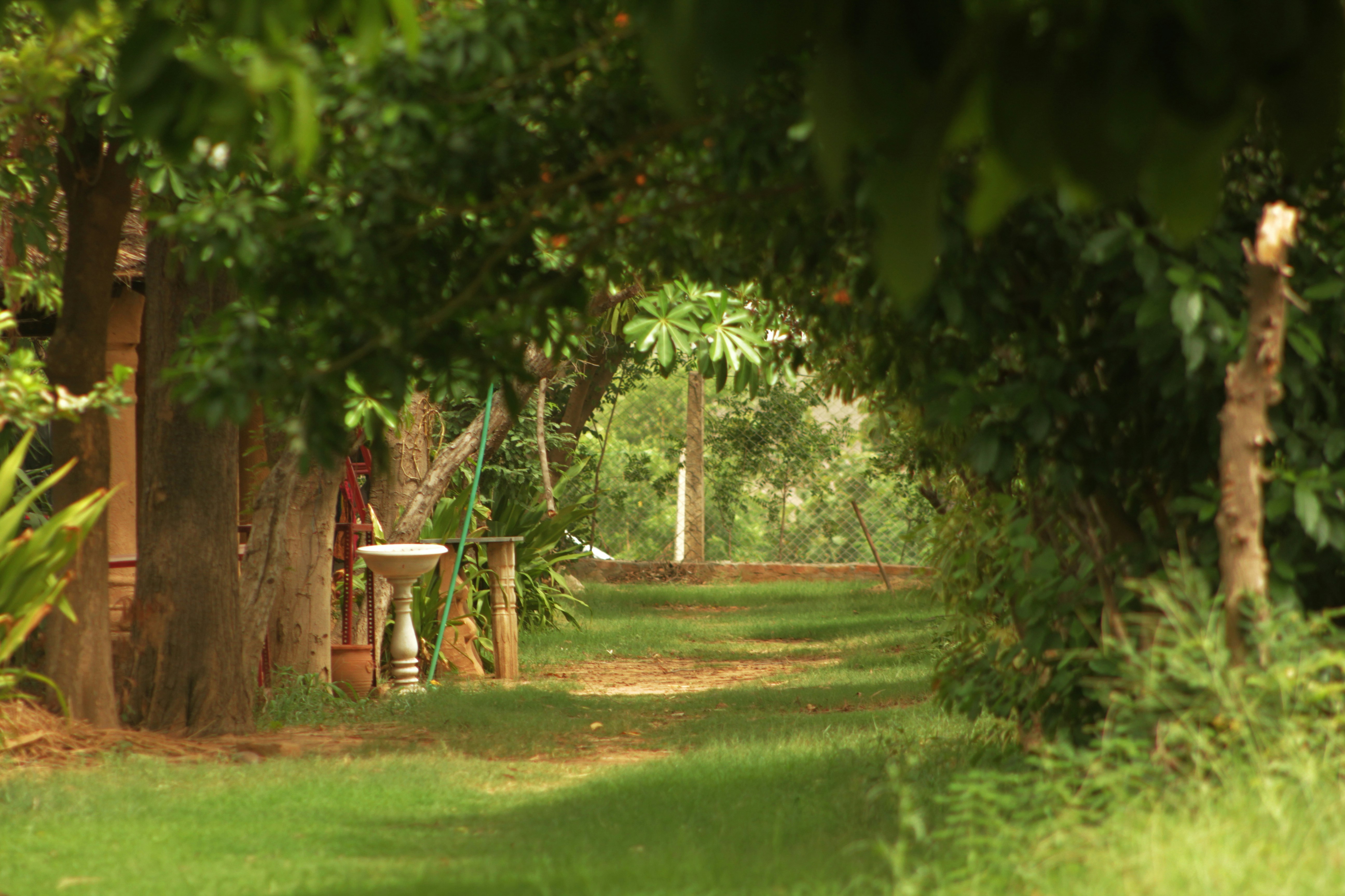 Reserve sua aventura