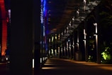 A pathway is illuminated by colorful lights, including red and blue, set against a dark background. The ceiling above is reflective, showing patterns created by the lights. Lush greenery can be seen to the right, with light illuminating parts of the plants, creating contrast with the shadows.