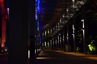 A pathway is illuminated by colorful lights, including red and blue, set against a dark background. The ceiling above is reflective, showing patterns created by the lights. Lush greenery can be seen to the right, with light illuminating parts of the plants, creating contrast with the shadows.