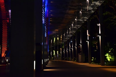 A pathway is illuminated by colorful lights, including red and blue, set against a dark background. The ceiling above is reflective, showing patterns created by the lights. Lush greenery can be seen to the right, with light illuminating parts of the plants, creating contrast with the shadows.