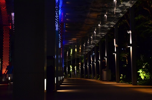 A pathway is illuminated by colorful lights, including red and blue, set against a dark background. The ceiling above is reflective, showing patterns created by the lights. Lush greenery can be seen to the right, with light illuminating parts of the plants, creating contrast with the shadows.