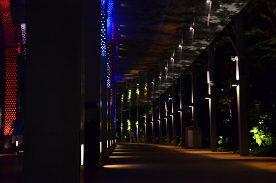 A pathway is illuminated by colorful lights, including red and blue, set against a dark background. The ceiling above is reflective, showing patterns created by the lights. Lush greenery can be seen to the right, with light illuminating parts of the plants, creating contrast with the shadows.