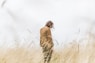 person standing in the middle of wheat field feeling regret from not choosing the right vendor. 